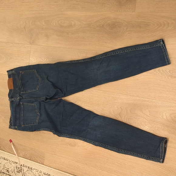 Madewell 10" High-Rise Skinny Jeans in Danny Wash TENCEL (Sz Petite 27) - Picture 4 of 10
